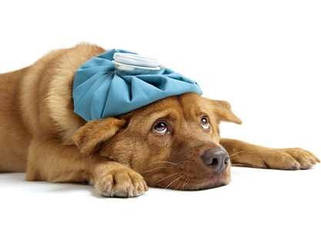 Нестероїдні протизапальні засоби