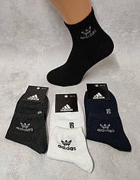 Шкарпетки чоловічі Sport F 0103-D сер. стрейч різні кольори р.41-45 (уп.12 пар)