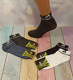 Шкарпетки чоловічі Sport 0001 кор. сітка різні кольори р.40-44 (уп.12 пар)
