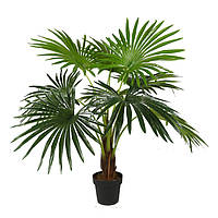 Искусственное растение Engard Fan Palm, 120 см (DW-27) NX, код: 8197828