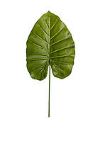 Искусственные листья Engard Taro светлый, 65 см (DW-37) NX, код: 8197838