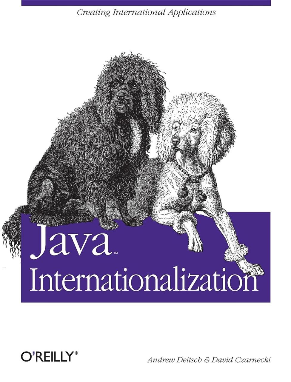 Java Internationalization: Creating International Applications (Java Series) First Edition, David Czarnecki,, фото 1