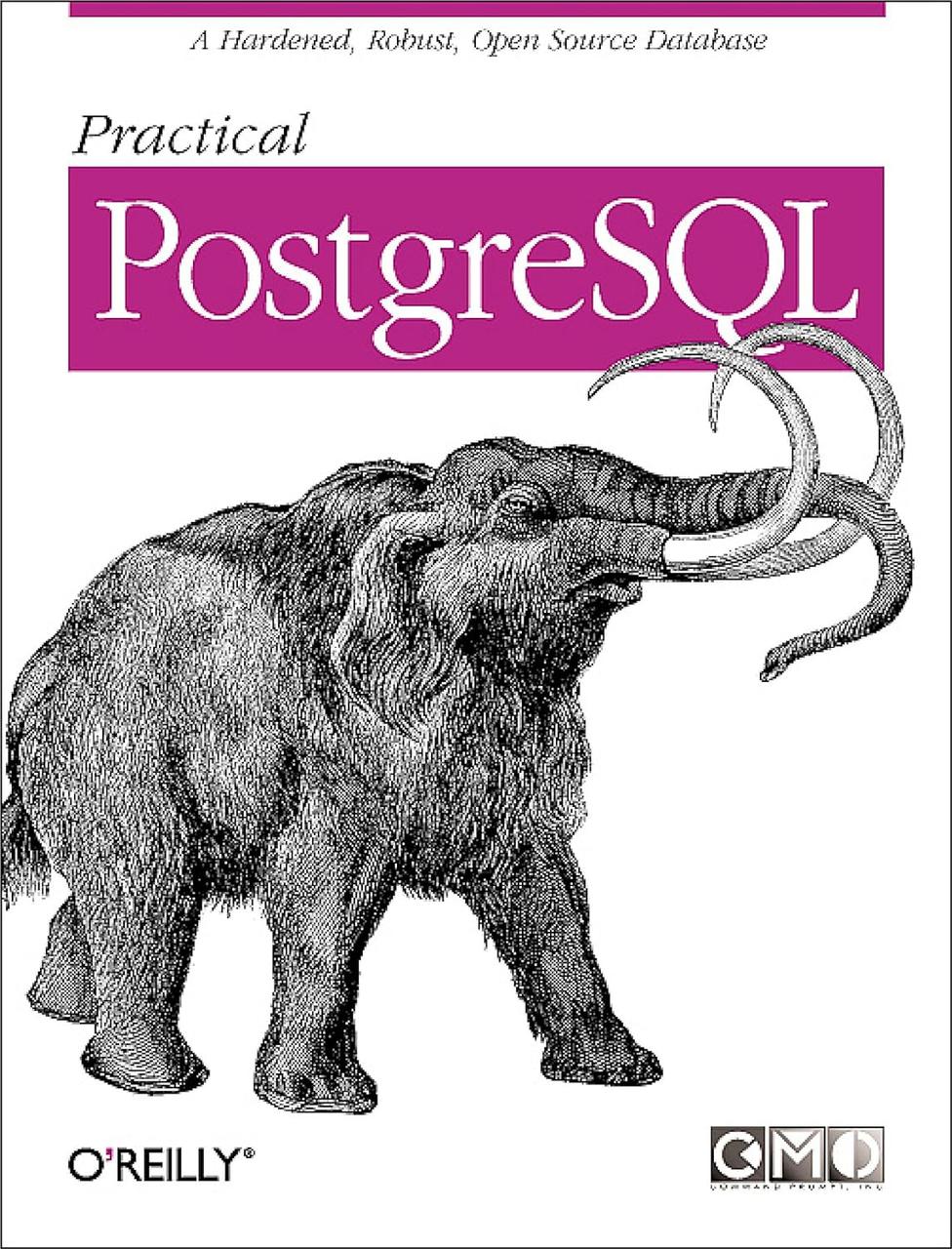 Practical PostgreSQL First Edition, Joshua Drake, John Worsley, фото 1