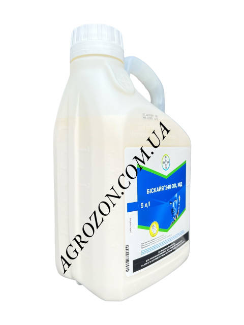 Орыс гинеколог порно