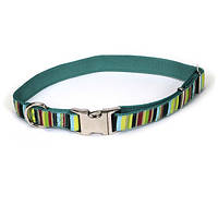 Ошейник для собак Coastal Pet Attire Ribbon 2.5 х 46 - 66 см мультицвет (76484614958) EM, код: 7721096