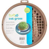 Трава для котов в контейнере плантаторе Coastal Turbo Cat Grass комплект зерна пшеницы вермик UT, код: 7937003