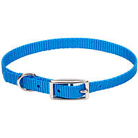 Ошейник для собак Coastal Nylon Web 1x25 см голубая лагуна (76484733437) IN, код: 7720920