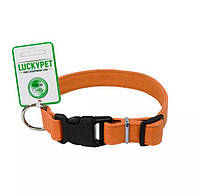 Ошейник кожаный двойной пластиковая фурнитура Lucky Pet 1.0 18-25 Оранжевый (4820224217857) IB, код: 7999536