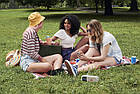 Портативна Bluetooth радіостанція JBL TUNER 2 (White), фото 9