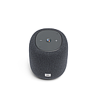 Bluetooth колонка JBL LINK MUSIC (GREY), фото 4