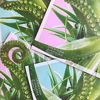 Latexfauna Ajahuaska (Season 1 + Season 1, 2 LP, Pink, Blue)(Vinyl)