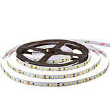 Led стрічка 24В нейтральна біла AVT smd2835 120LED/m IP20, 1 м, фото 2