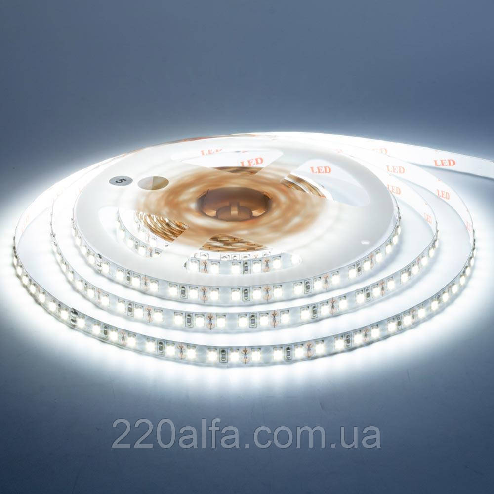 Світлодіодна стрічка 12 В біла холодна AVT New smd3528 120led/м негерметична, 1 м