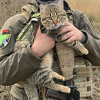 Тактическая жилетка для кота - военный жилет для котов