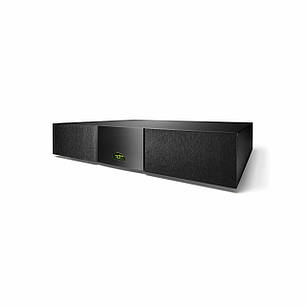 Підсилювач потужності Naim Audio NAP 300 DR, фото 2