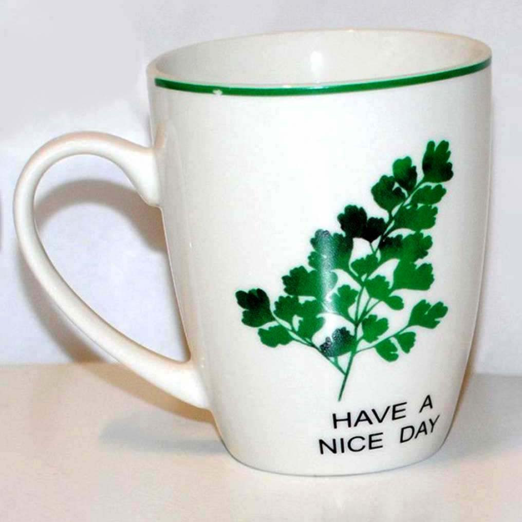 Кружка для чаю керамічна "Флора", 350мл Адіантум