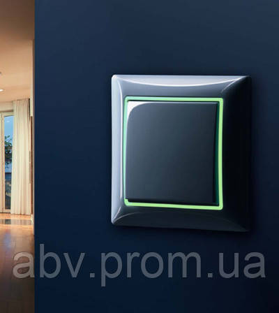 Розетки ABB Basic55, фото 1