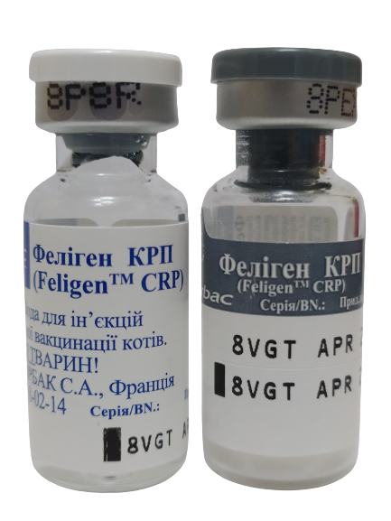 Феліген КРП Feligen  CRP вакцина проти ринотрахеїту, калицивируса, панлейкопенії у кішок , 1 доза