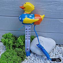 Термометр-іграшка для басейну Kokido TM08CB/18 Holiday Качка