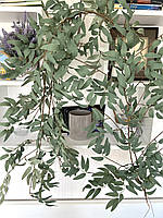 Искусственная лиана рускуса . Рускус декоративный ( оливковый 170 см )
