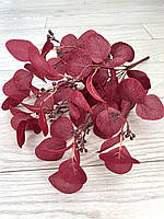 Штучний евкаліпт — популюс (бордовий 50 см, 9 гілочок), фото 4