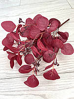 Штучний евкаліпт — популюс (бордовий 50 см, 9 гілочок), фото 5