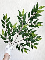 Декоративні гілки рускусу (глиця, латекс), фото 7