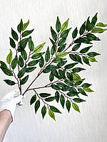 Декоративні гілки рускусу (глиця, латекс), фото 6