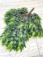 Декоративні гілки рускусу (глиця, латекс), фото 9