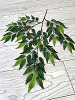 Декоративні гілки рускусу (глиця, латекс), фото 5