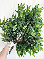 Декоративні гілки рускусу (глиця, латекс), фото 3