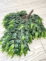 Декоративні гілки рускусу (глиця, латекс), фото 10