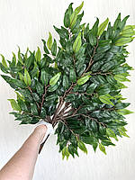 Декоративні гілки рускусу (глиця, латекс), фото 2