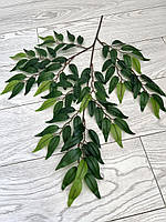 Декоративні гілки рускусу (глиця, латекс), фото 4
