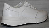 Кросівки шкіряні жіночі від виробника модель ЛС23-КР-5203, фото 5