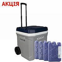 Термобокс на колесах с ручкой IGLOO® MAXCOLD LATITUDE ROLLER 62 ROLLER, 56 л, серый с синим (термо контейнер)