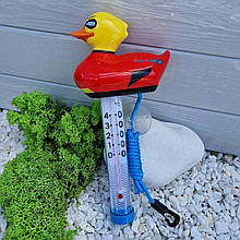 Термометр-іграшка для басейну Kokido TM08CB/18 "Супер качка"