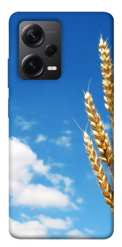Чохол itsPrint Пшениця для Xiaomi Poco X5 Pro 5G