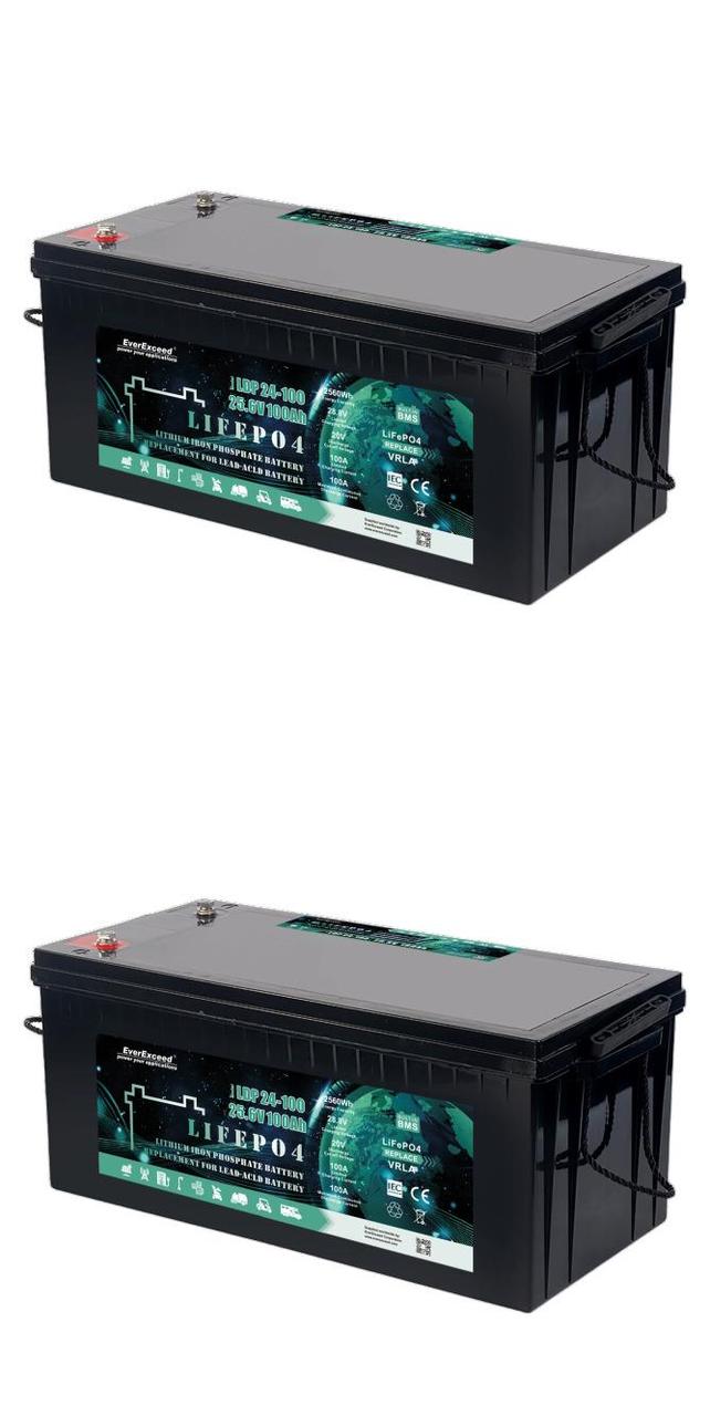 Акумулятор LiFePO4 48В/100Аг (EverExceed LDP 24-100 - 2шт.)