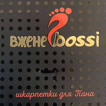 Шкарпетки чоловічі демісезонні бавовна ВженеBOSSі, розмір 25 (39-40), асорті, 11265