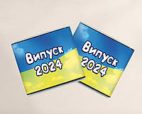 Мини шоколадки "Выпуск 2024", набор - 10 шт