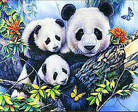 Алмазная вышивка Три панды 30*40см Картины из алмазной мозаики панда круглыми стразами на подрамнике полная вы