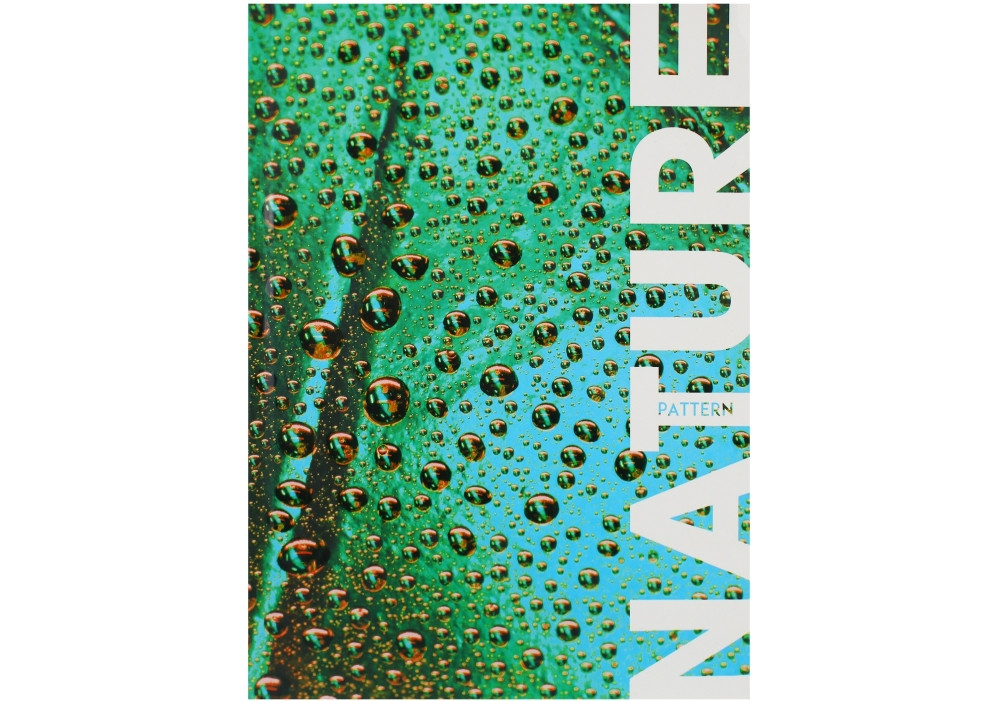 Зошит А4 96арк. кліт. тв. обкл. №O20294-06/Optima/(5)(20), фото 1