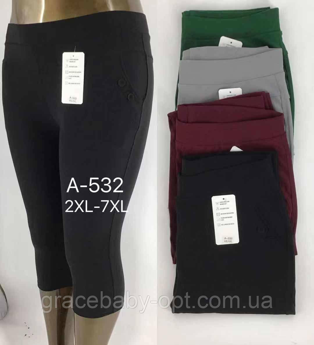 Бриджі жіночі оптом, 2XL-7XL рр., № Mar-A-532