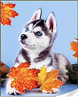 Алмазная вышивка щенки мозаика Собака Хаски в листьях 30*40см квадратными стразамы полная выкладка