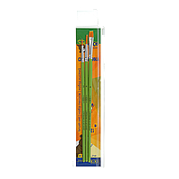 Набір кистей Hobby: синтетика кругла 2 4 синтетика плоска 4 В пеналі 3 шт KIDS Line