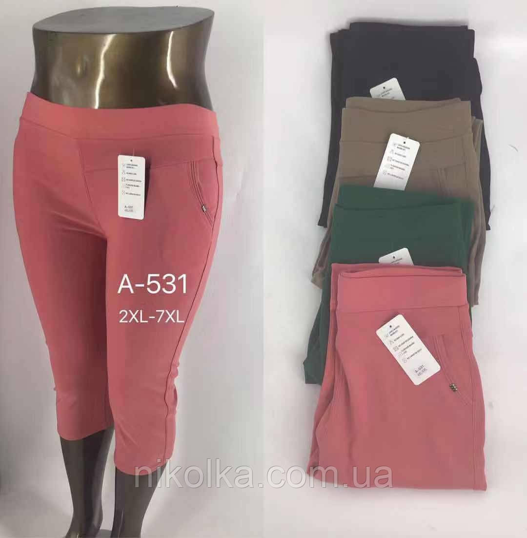 Бриджі жіночі оптом, 2XL-7XL рр., арт. Mar-А-531