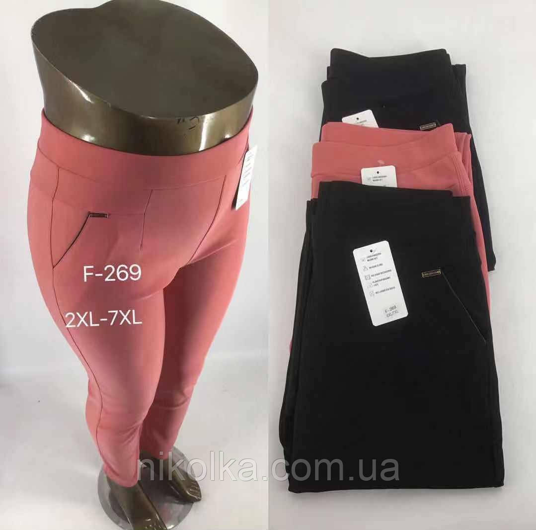Брюки жіночі оптом, 2XL-7XL рр., арт. Mar-F-269