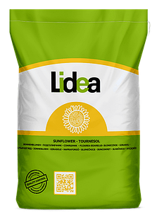 Насіння соняшнику ЕС Аграріс КЛП Lidea