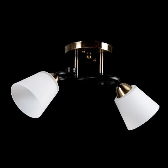 Люстра стельова на два плафони